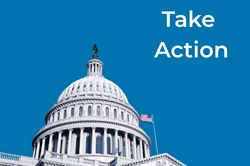 US Capitol on a blue background with the words Take Action